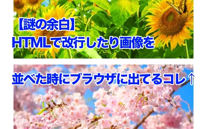 【謎の余白】HTMLで改行したり画像を並べた時にブラウザに出てるアレ